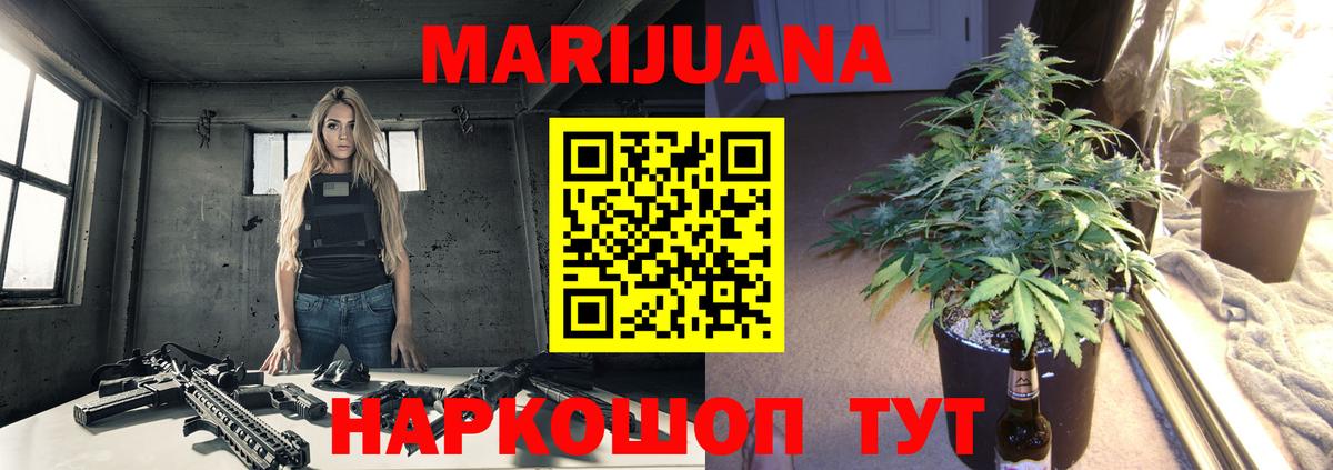 Бошки Шишки семена  Марихуана гибрид  Трёхгорный  Вход с VPN  Каннабис SATIVA & INDICA  Бошки Шишки ГИДРОПОН 